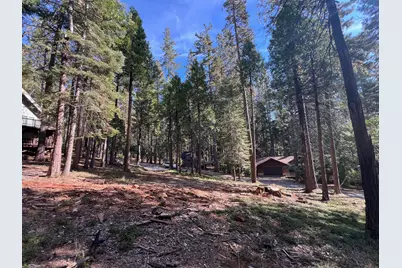 646 Dean Way, Arnold, CA 95223 - Photo 5