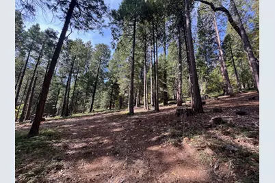 646 Dean Way, Arnold, CA 95223 - Photo 3