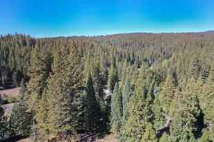 [Address not provided], Arnold, CA 95223 - Photo 37