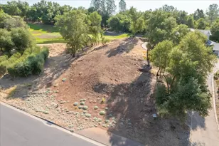 289 Blair Mine, Angels Camp, CA 95222 - Photo 3