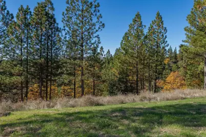 271 Sierra Madre Road, Rail Road Flat, CA 95248 - Photo 7