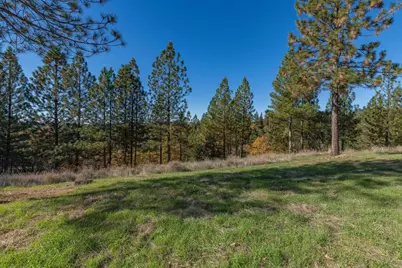 271 Sierra Madre Road, Rail Road Flat, CA 95248 - Photo 3