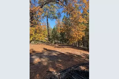 271 Sierra Madre Road, Rail Road Flat, CA 95248 - Photo 17