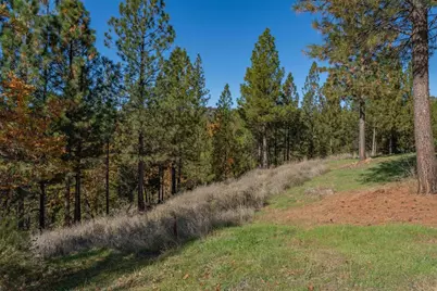 271 Sierra Madre Road, Rail Road Flat, CA 95248 - Photo 35