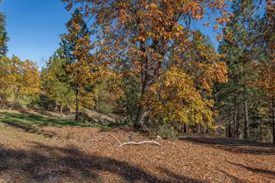 271 Sierra Madre Road, Rail Road Flat, CA 95248 - Photo 55