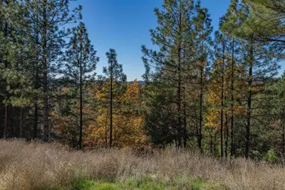 271 Sierra Madre Road, Rail Road Flat, CA 95248 - Photo 53