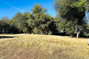 699 Weather Top, Mountain Ranch, CA 95246 - Photo 7