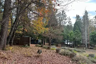 2273 Flanders Dr, Arnold, CA 95223 - Photo 39