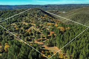 7123 Swiss Ranch Rd, Mountain Ranch, CA 95246 - Photo 63