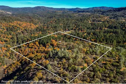 7123 Swiss Ranch Road, Mountain Ranch, CA 95246 - Photo 65