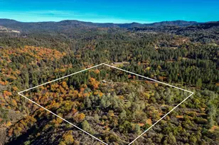 7123 Swiss Ranch Rd, Mountain Ranch, CA 95246 - Photo 65