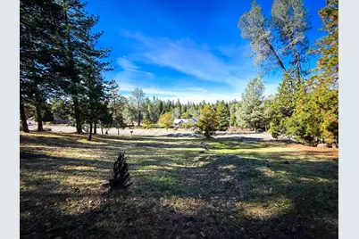 297 Forest Meadows Drive, Murphys, CA 95247 - Photo 1