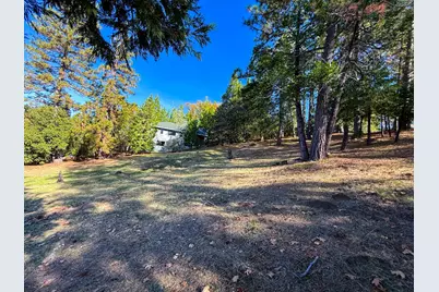 297 Forest Meadows Drive, Murphys, CA 95247 - Photo 5