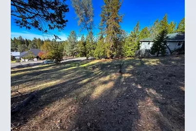 297 Forest Meadows Drive, Murphys, CA 95247 - Photo 7