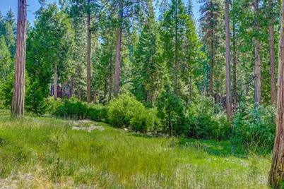 10 Timber Trail Court, Camp Connell, CA 95223 - Photo 3