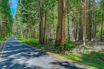 10 Timber Trail Court, Camp Connell, CA 95223 - Photo 5
