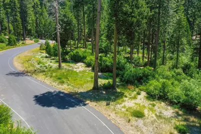 10 Timber Trail Court, Camp Connell, CA 95223 - Photo 9