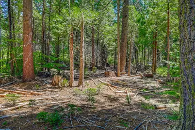 10 Timber Trail Court, Camp Connell, CA 95223 - Photo 7