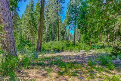 10 Timber Trail Court, Camp Connell, CA 95223 - Photo 1
