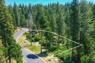 11 Timber Trail Court, Camp Connell, CA 95223 - Photo 3