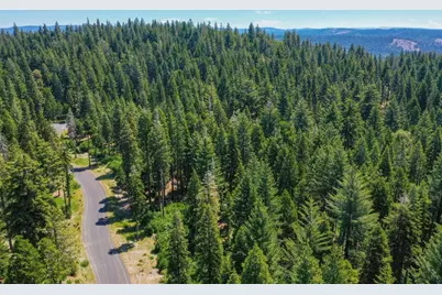 11 Timber Trail Court, Camp Connell, CA 95223 - Photo 11
