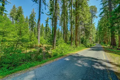 11 Timber Trail Court, Camp Connell, CA 95223 - Photo 21