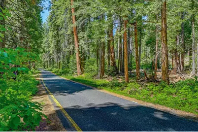 11 Timber Trail Court, Camp Connell, CA 95223 - Photo 19