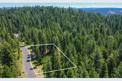 11 Timber Trail Court, Camp Connell, CA 95223 - Photo 11