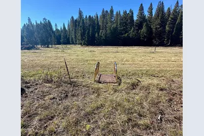 3561 Highway 4, Arnold, CA 95223 - Photo 9