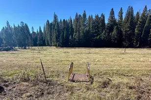 3561 Hwy 4, Arnold, CA 95223 - Photo 9