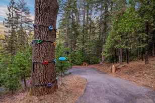 2729 Mokelumne Rd, Arnold, CA 95223 - Photo 49