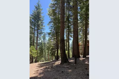 5186 Meko, Camp Connell, CA 95223 - Photo 3