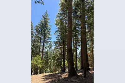 5186 Meko, Camp Connell, CA 95223 - Photo 5