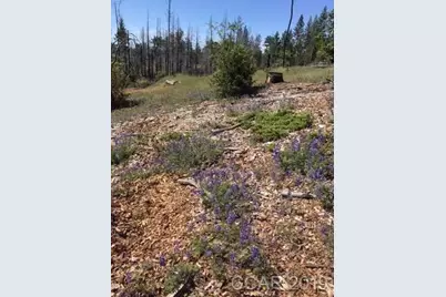 6321 W Old Emigrant Trail, Mountain Ranch, CA 95246 - Photo 3