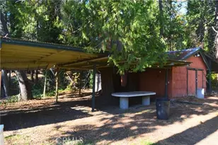 39656 Red Bud, Bass Lake, CA 93604 - Photo 43