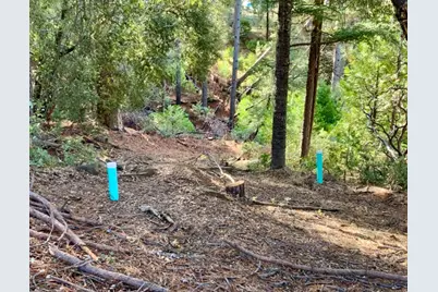 50963 Chu Ranch Road, Oakhurst, CA 93644 - Photo 3