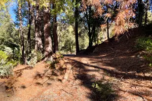 50963 Chu Ranch Rd, Oakhurst, CA 93644 - Photo 1