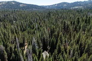 67922 Beasore Rd, Bass Lake, CA 95604 - Photo 37