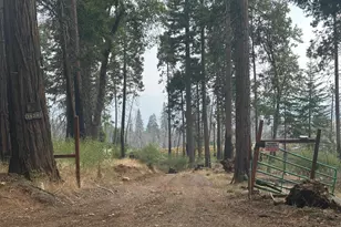 38295 Cressman Rd, Shaver Lake, CA 93664 - Photo 29
