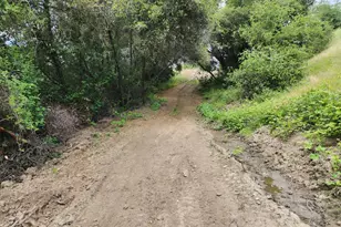 44001 Dunlap Rd, Miramonte, CA 93641 - Photo 3