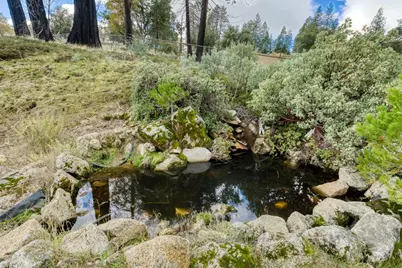 34327 Shaver Springs Road, Auberry, CA 93602 - Photo 5