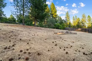 3597 Camino Hills Dr, Camino, CA 95709 - Photo 23