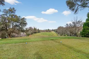 12887 Torrey Pines Dr, Auburn, CA 95602 - Photo 57