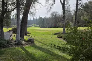 19193 Jayhawk Dr, Penn Valley, CA 95946 - Photo 3