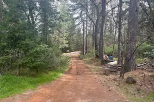 22596 Alaire Ln, Pioneer, CA 95666 - Photo 29