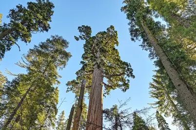 3353 Pocatello, Arnold, CA 95223 - Photo 73