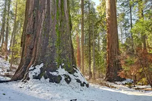 3353 Pocatello, Arnold, CA 95223 - Photo 65