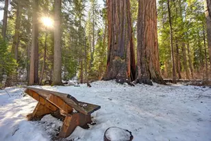 3353 Pocatello, Arnold, CA 95223 - Photo 67