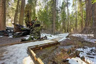 3353 Pocatello, Arnold, CA 95223 - Photo 61