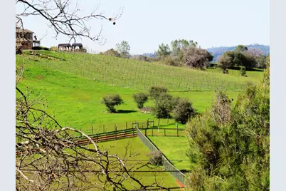 3226 Otter Place, Cool, CA 95614 - Photo 9